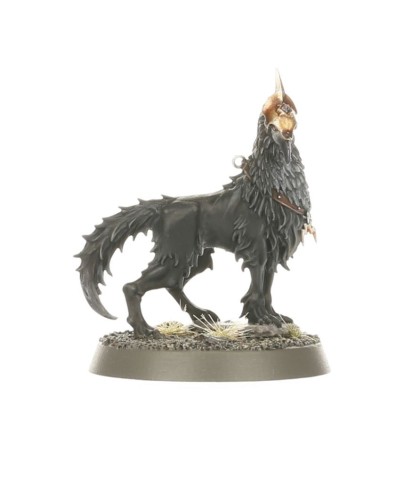 Warhammer Age of Sigmar Starter Set | Citadel Miniatures