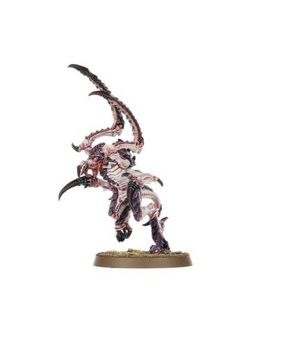 Warhammer 40.000 Starter Set | Citadel Miniatures